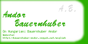 andor bauernhuber business card